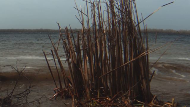 Самара Загородный парк. Волга. Весна через Анаморфот 1,55х #anamorphiclens #anamorphic #mcpro24fps смотреть онлайн