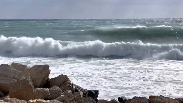 ВНЖ Кипра | Pink Slip | ВНЖ Кипра для финансово независимых лиц | VISITOR | ВНЖ Южного Кипра смотреть онлайн