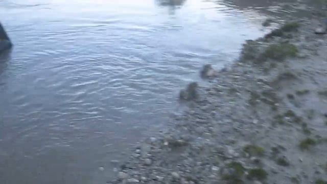 Трофи 3,05,2016 Учкулан (19) смотреть онлайн