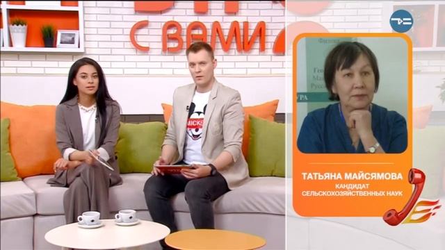 ГРИБЫ В ТЮМЕНИ - «Утро с Вами» 11.07.2019 смотреть онлайн