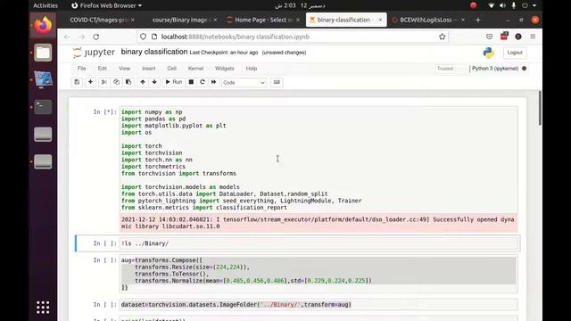 S1P4. Binary Classification (COVID vs NonCovid), PyTorch Lightning Module training (last part) смотреть онлайн