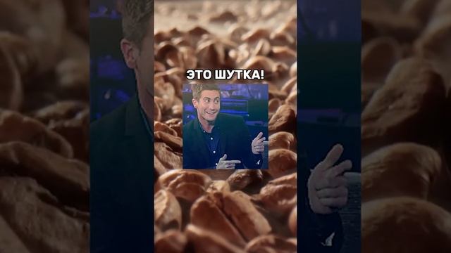 Зачем к эспрессо подают воду? смотреть онлайн