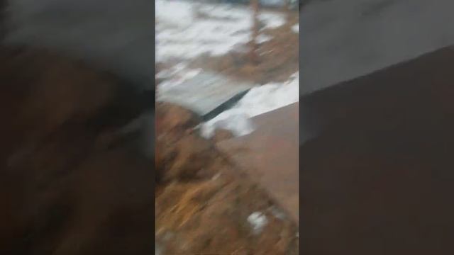 Обзор двора для КРС смотреть онлайн