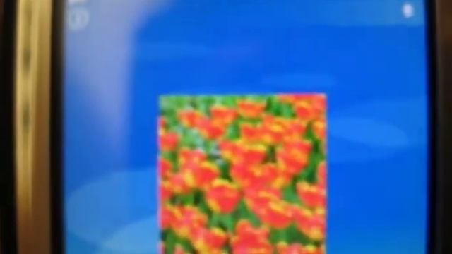 Gmail on Nokia's Webkit "Web" and Google's native JAVA client смотреть онлайн