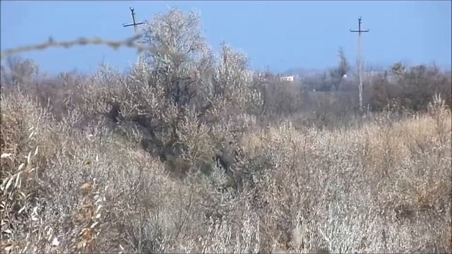 Не руби сук на котором сидишь смотреть онлайн
