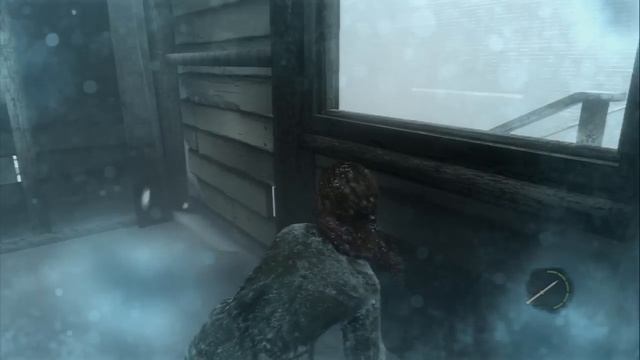 The Last of Us - Chap 9: Ellie Blizzard Walkthrough, David's Camp, Stealth, Looting HD Gameplay PS3 смотреть онлайн