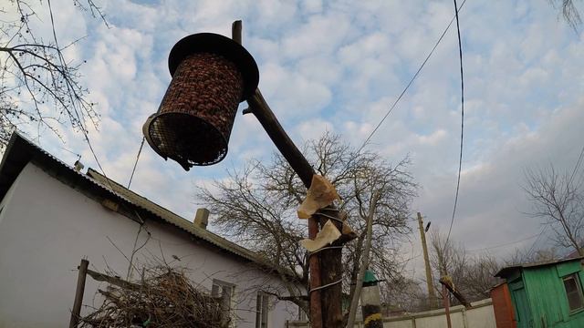 ВоробейП Арахис Сетчатая Сало Зима Денисово смотреть онлайн