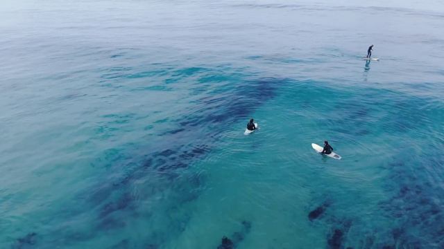 Сёрфинг смотреть онлайн