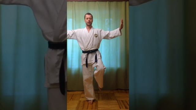 Айкидо, младшая группа, тренировка 2 смотреть онлайн