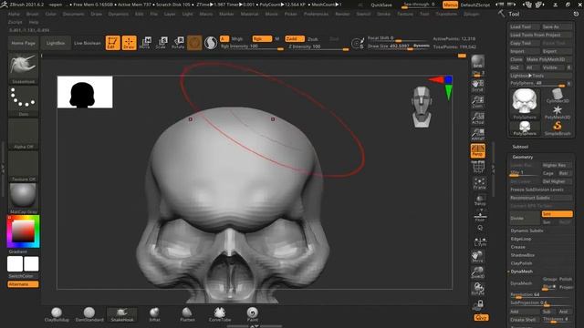 череп в ZBrush