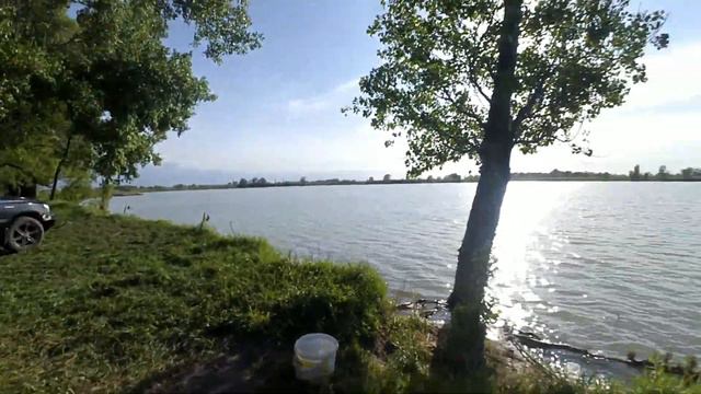 Весенняя РЫБАЛКА🎣 на озере. Сазан,окунь. Май 2020г. смотреть онлайн