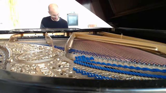#149 of 10.000 Blüthner Grand Piano Pieces смотреть онлайн