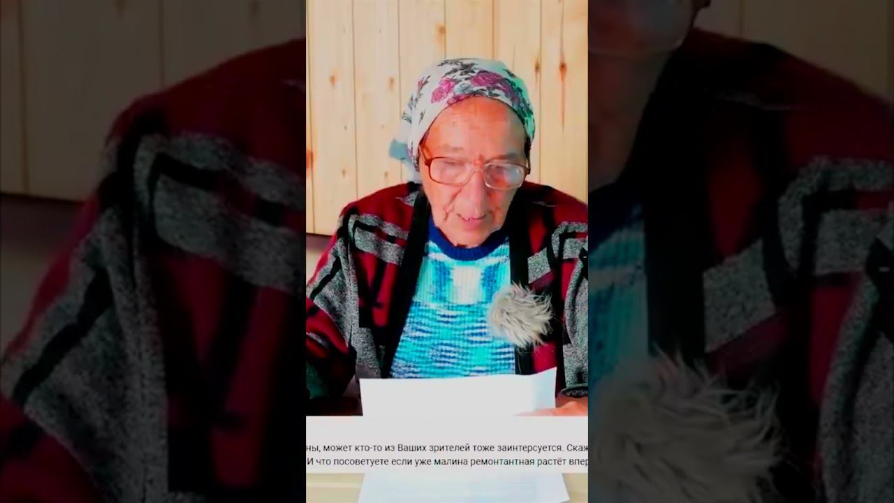 обрежте малину при пересадке смотреть онлайн