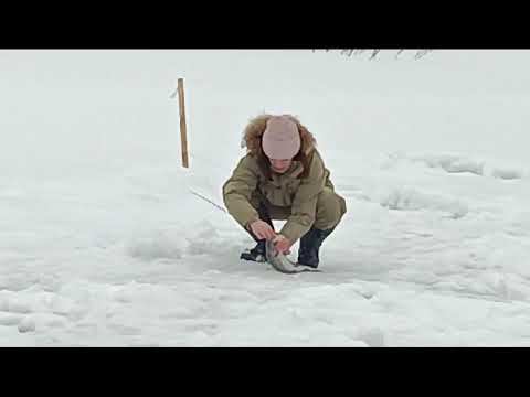 WhatsApp Video 2024 03 03 at 08 23 39 смотреть онлайн