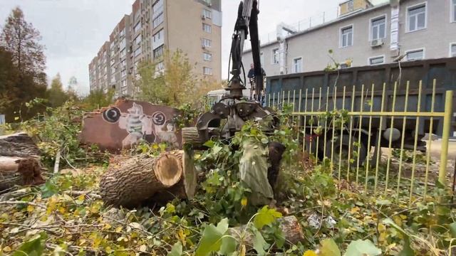 Спил Деревьев по частям. Тула и Тульская область 89539581844 смотреть онлайн