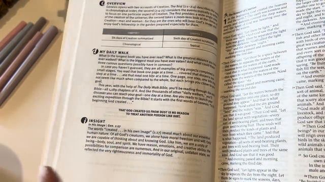 My 2024 Bible Study plan!! Plus Bible flipthrough and Bible journal flipthroughof my A5 Stalogy 🥰☕️ смотреть онлайн