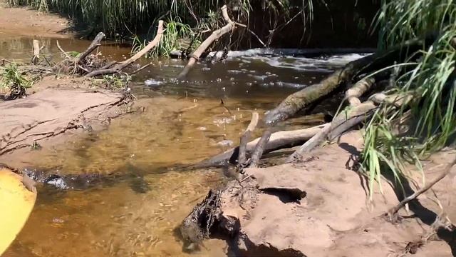 Yellow River - F to 9th Street (Guest Review) смотреть онлайн