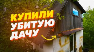 Реставрируем старую дачу // Комары, боль и пот