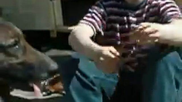 Цепочка для немецких овчарок смотреть онлайн