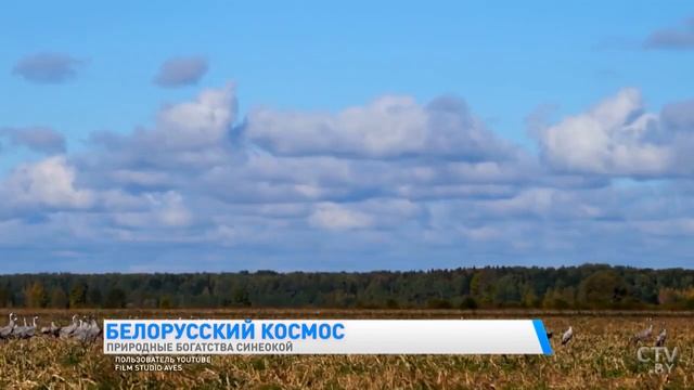 Прыродныя экскурсійныя абъекты Беларусі смотреть онлайн