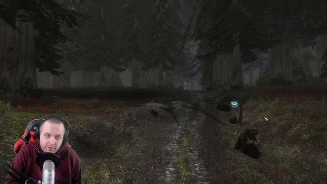 Let's Play Classic WoW SOM | HARDCORE | Night Elf Rogue | EP. 119 | Gameplay Walkthrough смотреть онлайн