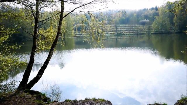 Велопрогулка | Велодорожки в Германии ЗОЖ смотреть онлайн