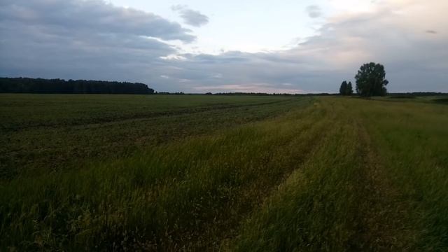 Кто это сделал? смотреть онлайн