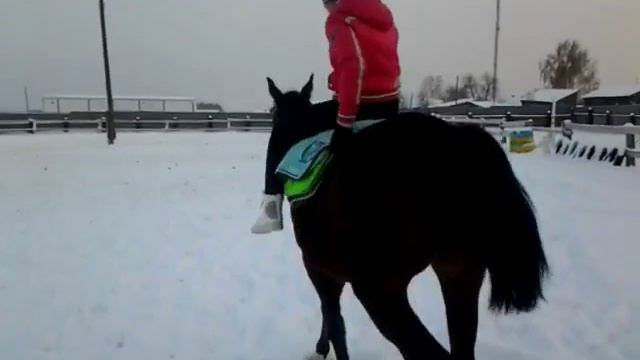 ВЫЗОВ ПРИНЯТ!!! Конная версия!!! Часть 2 смотреть онлайн