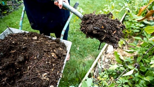 Переработка опавших листьев. Бизнес идея смотреть онлайн