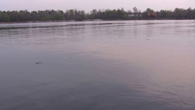 Весенняя ловля плотвы маховой удочкой на набережной. смотреть онлайн