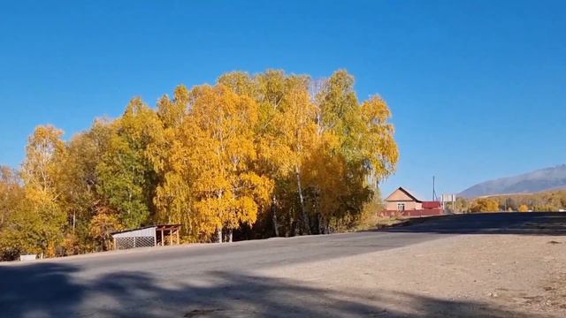 Осень в Катоне. с.Урыль смотреть онлайн