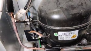 Холодильник Хайер, не включается.