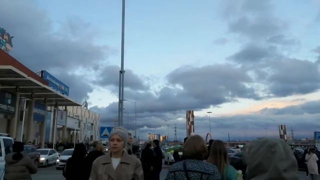 #природароссии #живаяприрода #собака #обь #река #байкер #мотоциклы #дорога #сургут#аура#тц смотреть онлайн