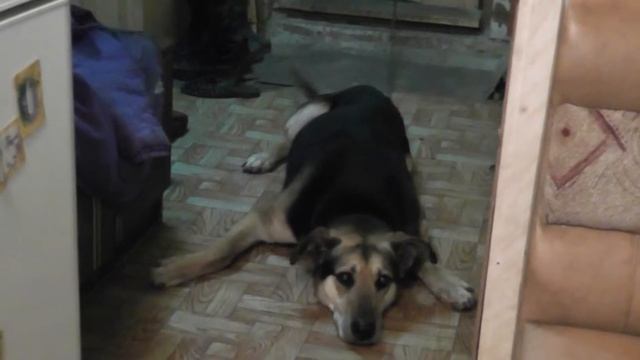 В позе рака. смотреть онлайн