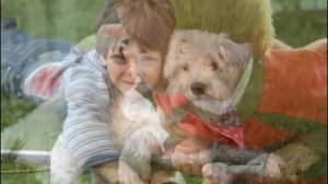 Человек собаке друг