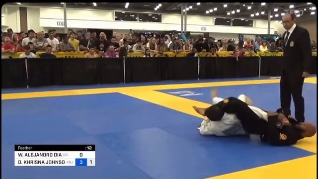Demetrious Johnson wins worlds! #armbar #bjj #worldmasters смотреть онлайн