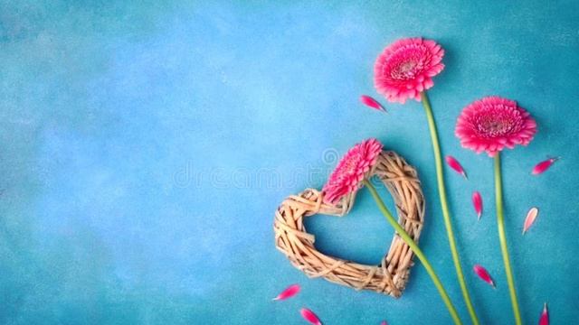 MHA reacts to Dekus past as Ray ||MHAxTPN||GCRV||Gacha sisters смотреть онлайн