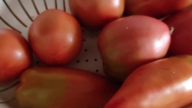 Томат Корнабель F1. Понравился ли мне? смотреть онлайн