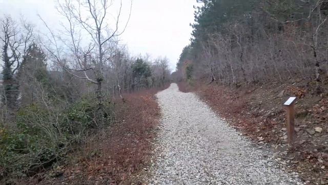 Прогулка по эко тропе в Абрау. смотреть онлайн