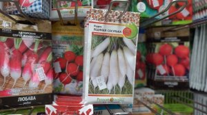 Сорта редиса, которые не стрелкуются. Урожай будет весь сезон