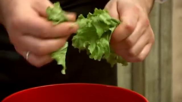 Сделано со вкусом.Салат айсберг. Илья Посохин смотреть онлайн