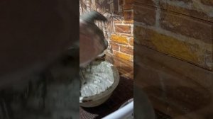 сырнички-шайбы из мела и глины????