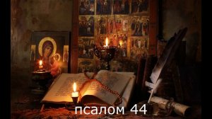 СНИМАЕМ ПОРЧУ "ТРЯСОВИЦА"