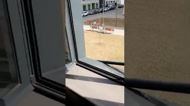 Установка москитной сетки со сложным местом подкрепления #москитныесеткиспб #ремонтоконспб #спб смотреть онлайн