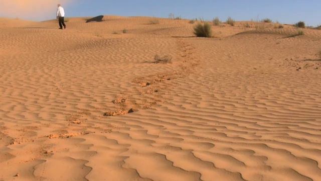 Sacred Desert folk music# Traditional Arabian music# Badoyin Music смотреть онлайн