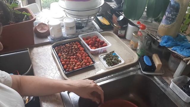 Почему ягоды клубники не ягоды. И не клубники... смотреть онлайн