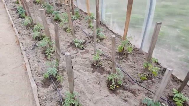 Сборка и установка системы капельного полива АкваДуся смотреть онлайн