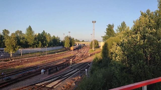ТЧ-5 «Невское» и вёдра 008 смотреть онлайн