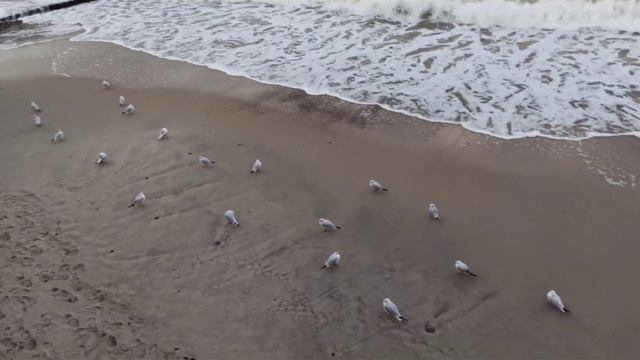 Балтийское море в ноябре. смотреть онлайн