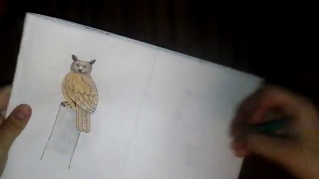 Запрос. Как нарисовать Филина?))) смотреть онлайн